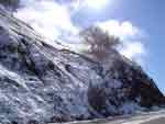 Copy of 095